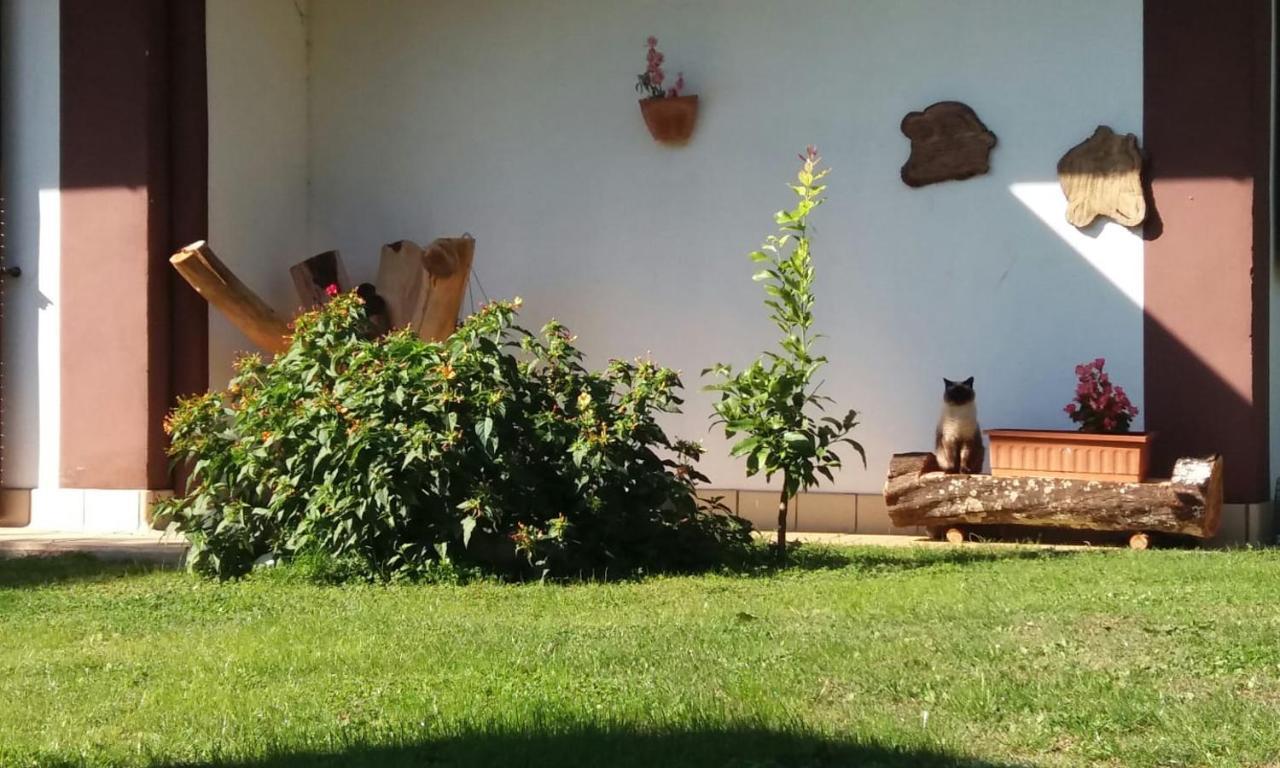 Casetta In Collina Sezze Exterior foto